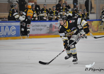 Description de l'image