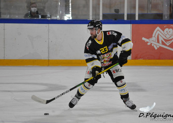 Description de l'image