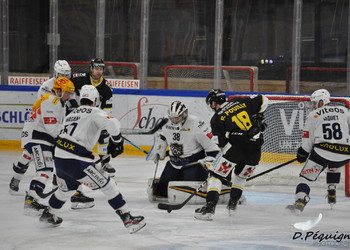 Description de l'image