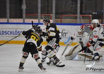 Description de l'image