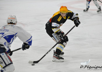 Description de l'image