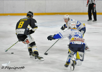 Description de l'image