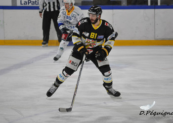 Description de l'image