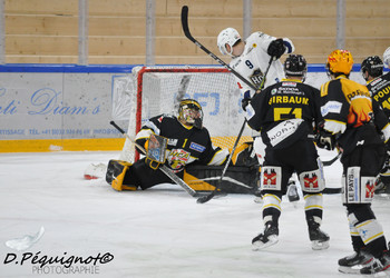 Description de l'image