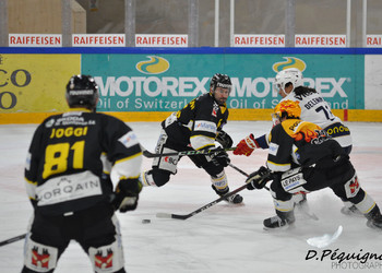 Ajoie se qualifie pour les play-offs