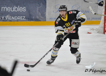 Description de l'image