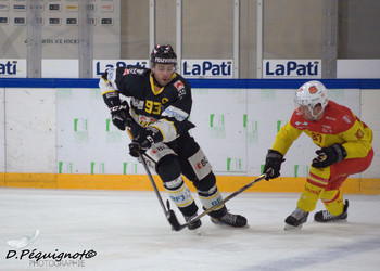 Description de l'image