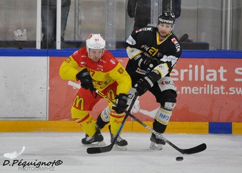 Description de l'image