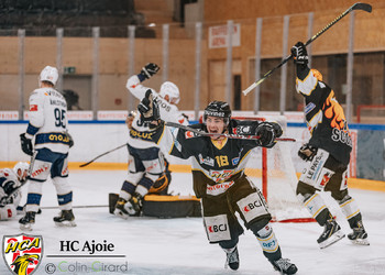 Description de l'image