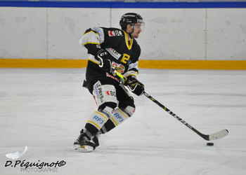 Description de l'image