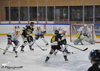 Les ajoulots font toujours la course en tête