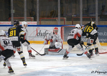 Ajoie écrase Viège dans l'acte III