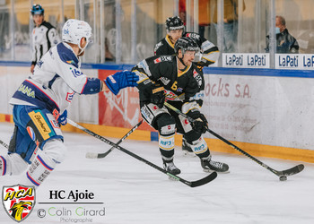 Description de l'image