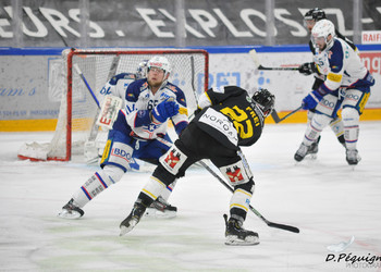 Description de l'image