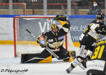 Description de l'image