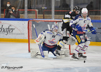 Description de l'image