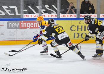 Description de l'image