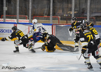 Description de l'image