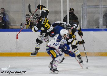 Description de l'image