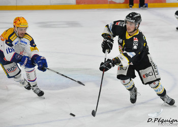 Description de l'image