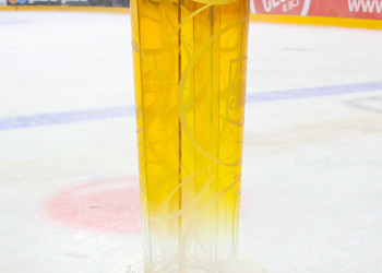 Un défi relevé grâce à vous