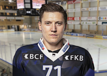 Dans le regard de ...