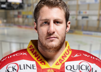 Dans le regard de ...