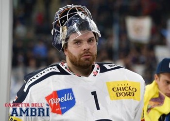 Dans le regard de ...