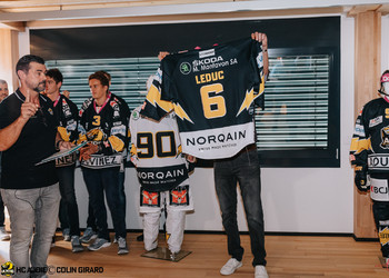 Description de l'image