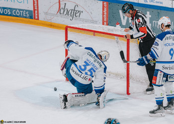 Description de l'image