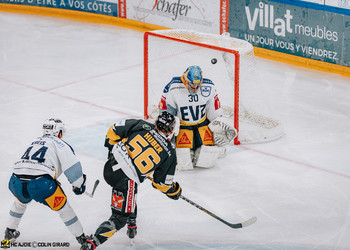 Description de l'image