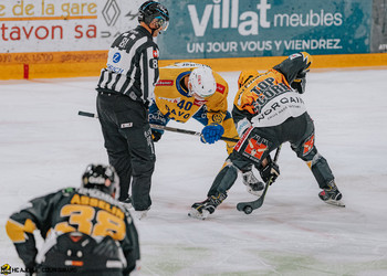 Description de l'image