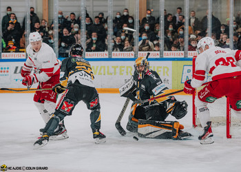 Description de l'image