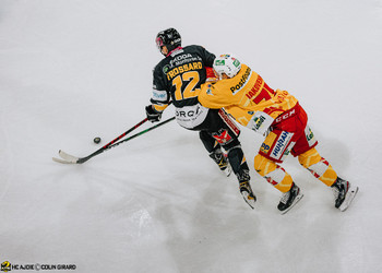 Description de l'image