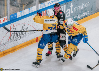 Description de l'image