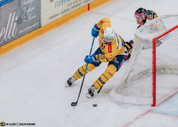 Description de l'image