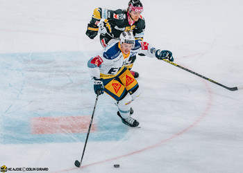 Description de l'image