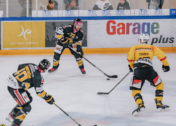 Description de l'image