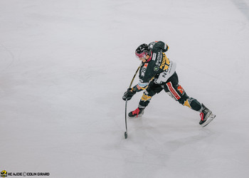 Ajoie n'y arrive toujours pas contre Berne