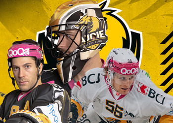 Vente aux enchères des maillots