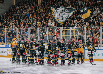 La vouivre bat le dragon