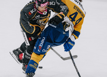 64 Scheidegger Joel, C.G Photographie, Club National League, Colin Girard, HC Ajoie, HC Davos, HCA, HCAjoie, Hockey Club Ajoie, NL, National League, Porrentruy, RAIFFEISEN ARENA, Saison 2023-24, charge, hockey, patinoire