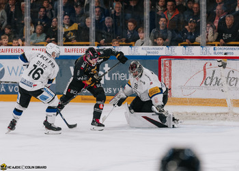 Ajoie s'incline face au leader
