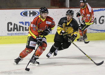 Description de l'image