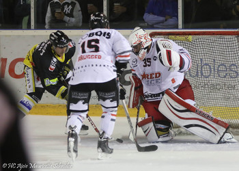 Description de l'image