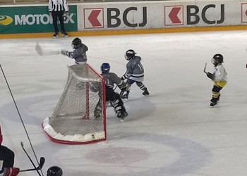 Ajoie battu par Bienne en finale