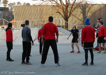 Description de l'image