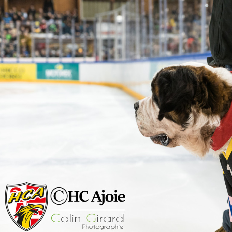 Ajoie - Chaux-de-Fonds 15.02.19