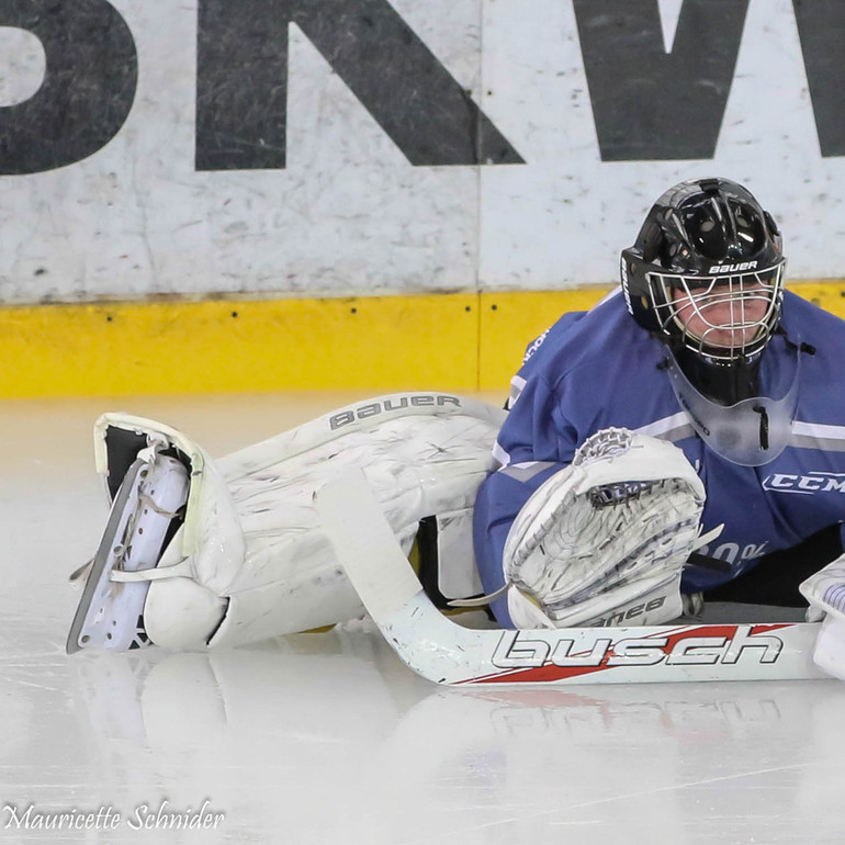 [SAISON 2014 / 2015] Reprise de la glace LNB / Elites