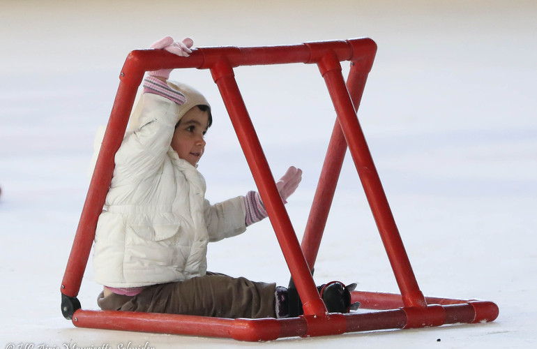 Swiss Ice Hockey Day